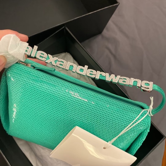 Alexander Wang Handbags - Alexander Wang Handbag New w Tag and Box